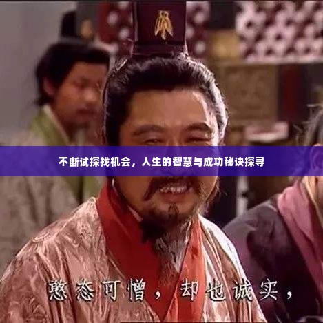 不断试探找机会,人生的智慧与成功秘诀探寻