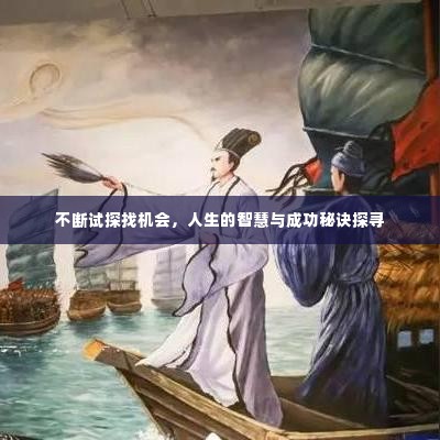 不断试探找机会,人生的智慧与成功秘诀探寻