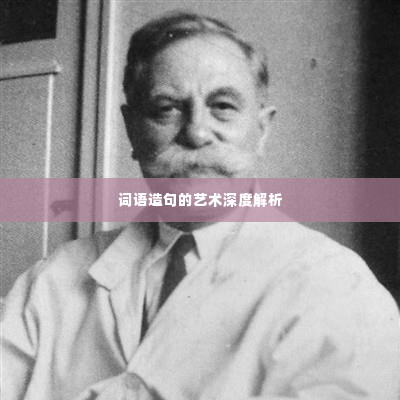 词语造句的艺术深度解析