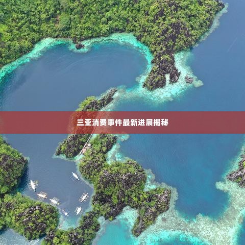 三亚消费事件最新进展揭秘