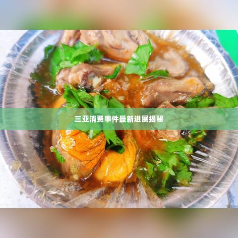 三亚消费事件最新进展揭秘