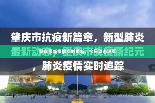 肇庆最新疫情实时更新,今日动态速览