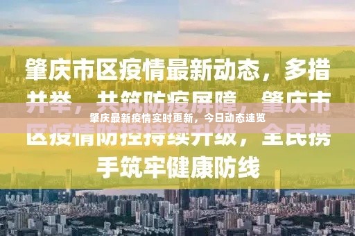 肇庆最新疫情实时更新,今日动态速览