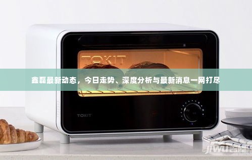 鑫磊最新动态,今日走势、深度分析与最新消息一网打尽