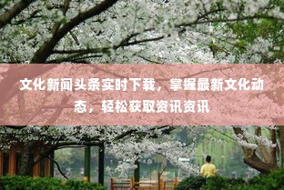 文化新闻头条实时下载,掌握最新文化动态,轻松获取资讯资讯