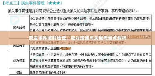 突发事件临时检查,应对策略与关键考量点解析