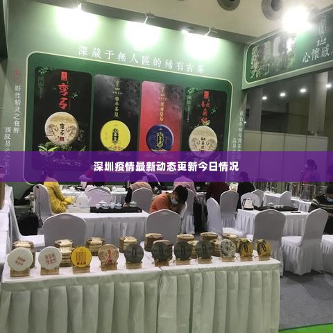 凤凰于飞 第3页