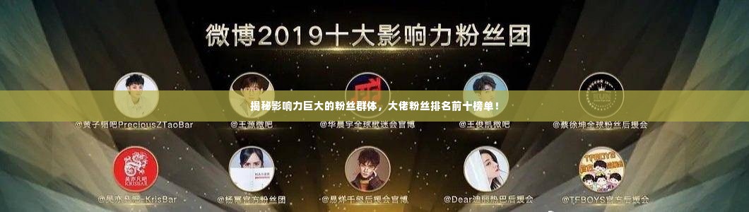 揭秘影响力巨大的粉丝群体,大佬粉丝排名前十榜单!