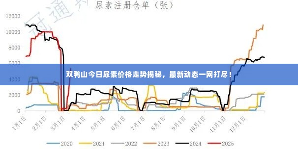 双鸭山今日尿素价格走势揭秘,最新动态一网打尽!