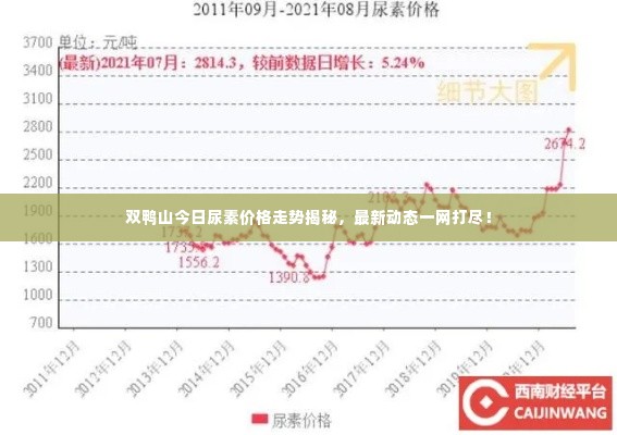 双鸭山今日尿素价格走势揭秘,最新动态一网打尽!