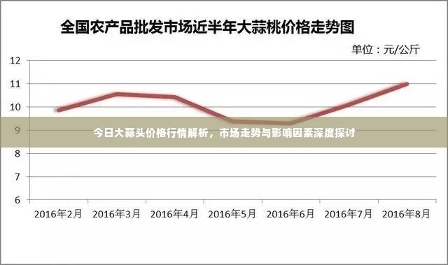 今日大蒜头价格行情解析,市场走势与影响因素深度探讨