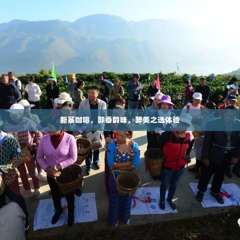 新寨咖啡,醇香韵味,醉美之选体验