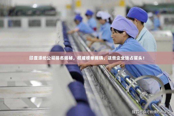 印度涤纶公司排名揭秘,权威榜单揭晓,这些企业独占鳌头!
