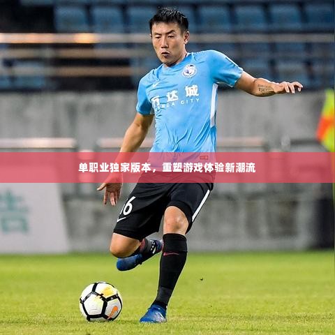 单职业独家版本，重塑游戏体验新潮流