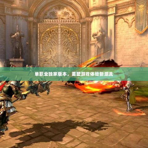 单职业独家版本,重塑游戏体验新潮流