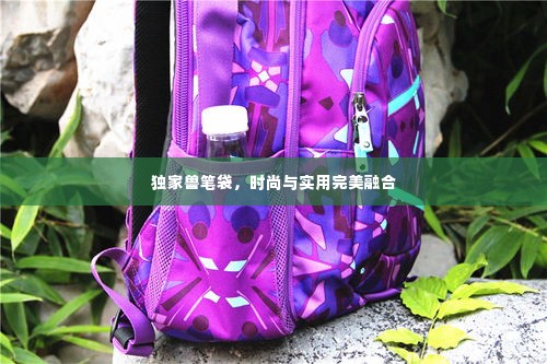 独家兽笔袋,时尚与实用完美融合