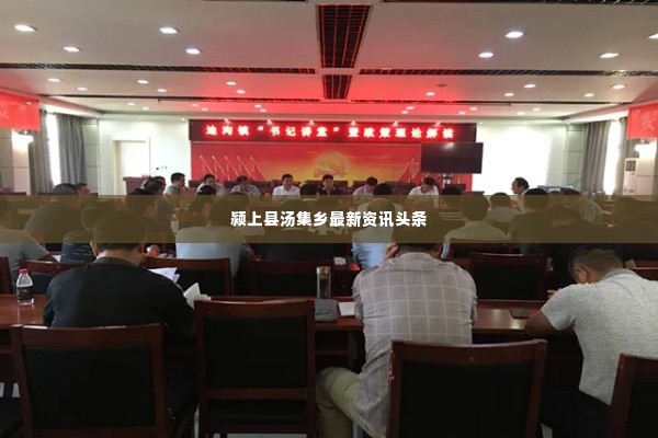 颍上县汤集乡最新资讯头条