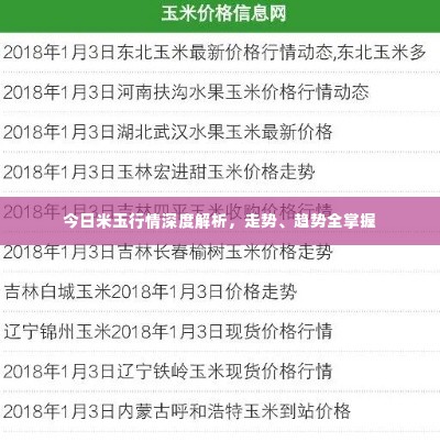 今日米玉行情深度解析,走势、趋势全掌握