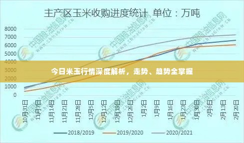 今日米玉行情深度解析,走势、趋势全掌握