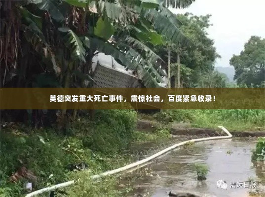 瞋目张胆 第3页