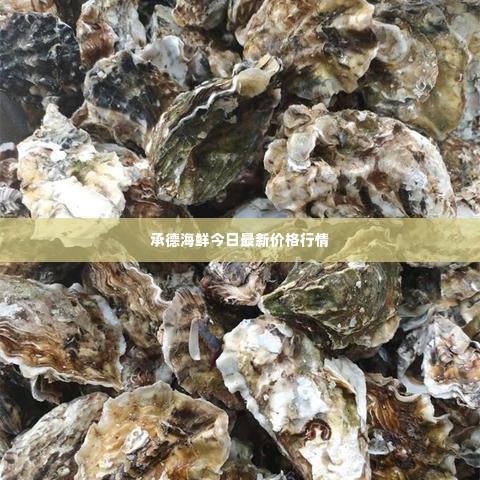 承德海鲜今日最新价格行情