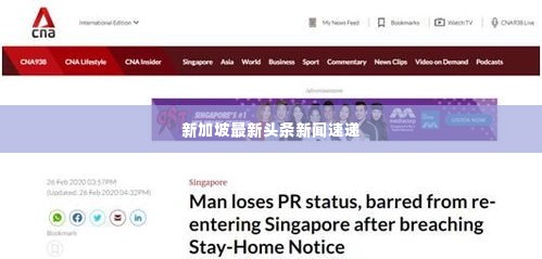 新加坡最新头条新闻速递