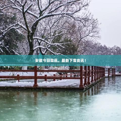 黜衣缩食 第3页