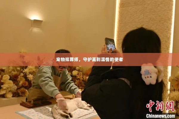 宠物殡葬师,守护离别温情的使者