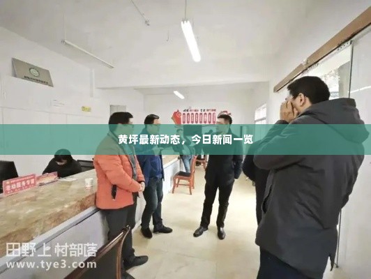 黄坪最新动态,今日新闻一览