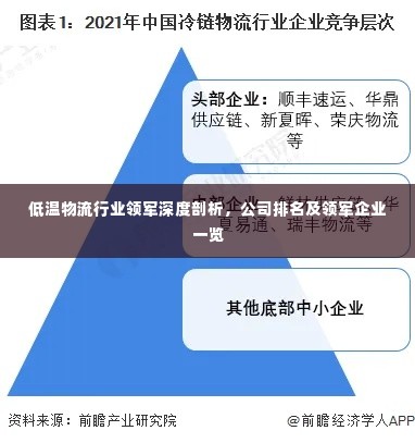 低温物流行业领军深度剖析,公司排名及领军企业一览