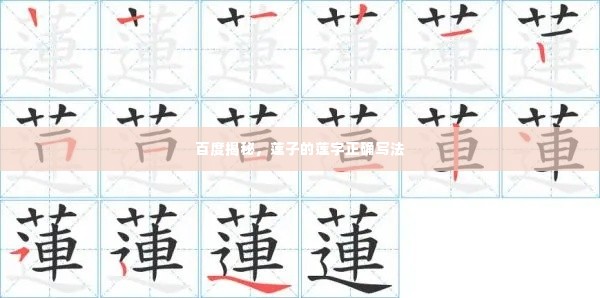 百度揭秘,莲子的莲字正确写法