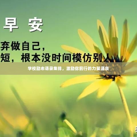 学校励志语录集锦,激励你前行的力量源泉