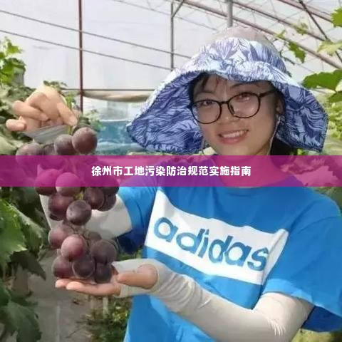 徐州市工地污染防治规范实施指南