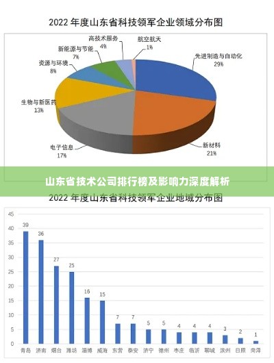 山东省技术公司排行榜及影响力深度解析