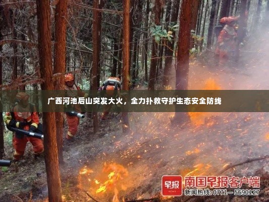 广西河池后山突发大火,全力扑救守护生态安全防线
