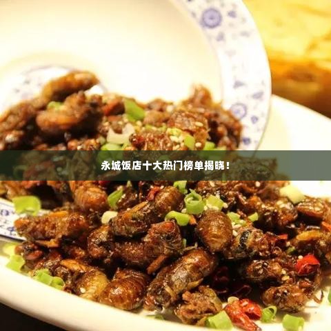 永城饭店十大热门榜单揭晓!