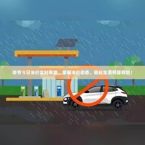 毕节今日油价实时更新，掌握油价动态，轻松生活预算规划！