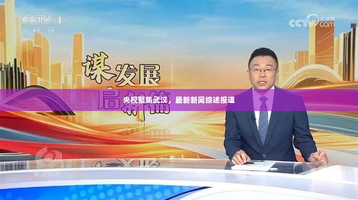 央视聚焦武汉,最新新闻综述报道