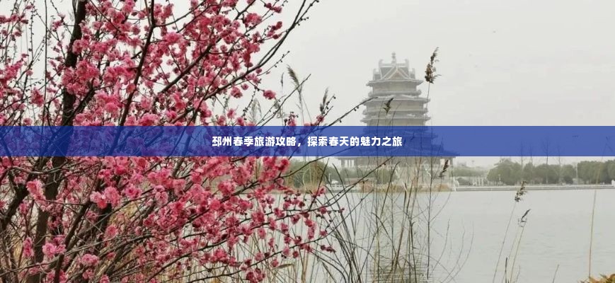 惊弓之鸟 第2页