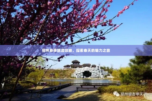 邳州春季旅游攻略,探索春天的魅力之旅