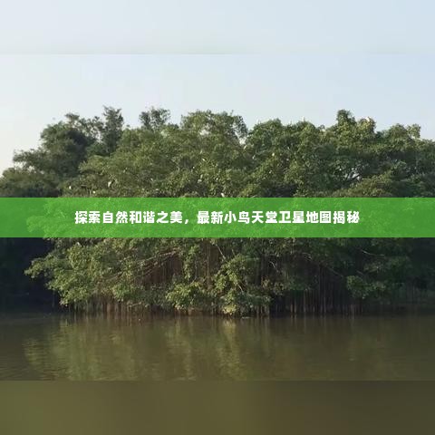 象耕鸟耘 第2页