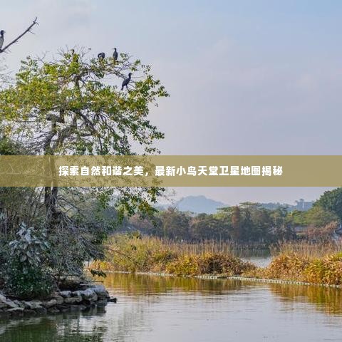 探索自然和谐之美,最新小鸟天堂卫星地图揭秘