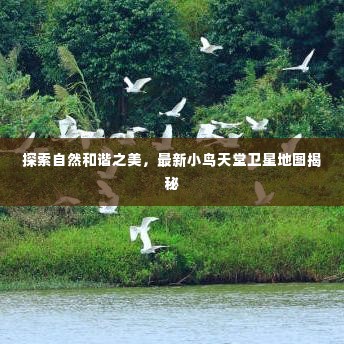 探索自然和谐之美,最新小鸟天堂卫星地图揭秘