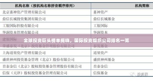 全球投资巨头榜单揭晓,国际投资组织公司排名一览