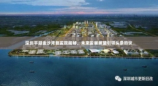 深圳平湖金沙湾新发现揭秘,未来发展展望引领头条热议
