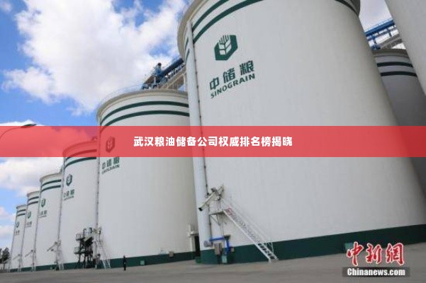 武汉粮油储备公司权威排名榜揭晓