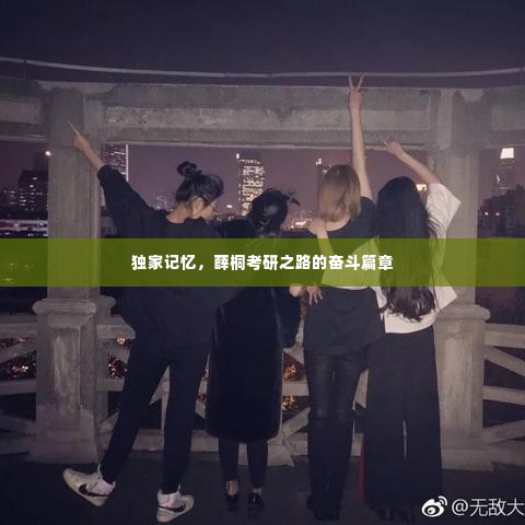 独家记忆，薛桐考研之路的奋斗篇章