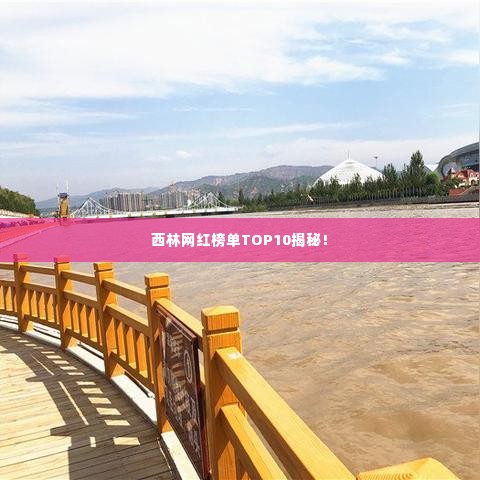 西林网红榜单TOP10揭秘!