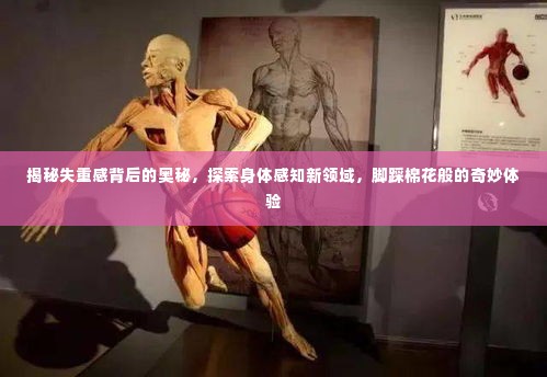 揭秘失重感背后的奥秘,探索身体感知新领域,脚踩棉花般的奇妙体验