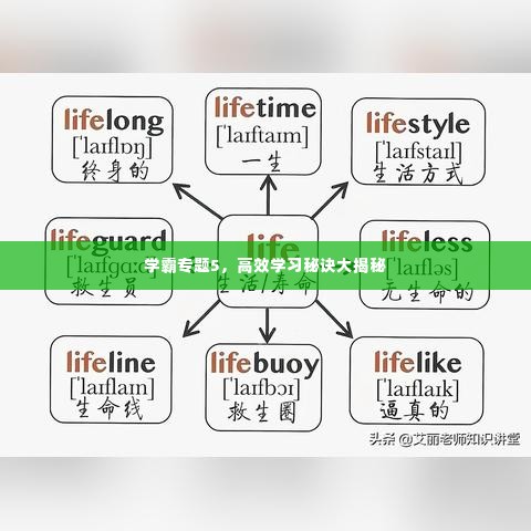 学霸专题5，高效学习秘诀大揭秘